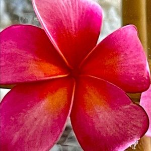 30% off a bundle of 3 or more items